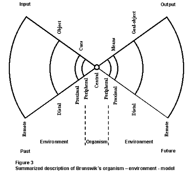 Figure 3 (Wolf, 1995, p. 23)